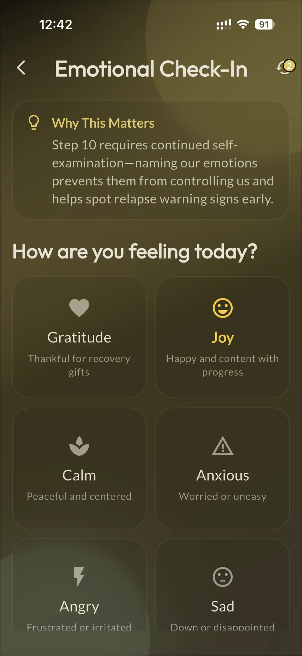 Emotional Check-In screen with gratitude, joy, calm, anxious, angry and sad